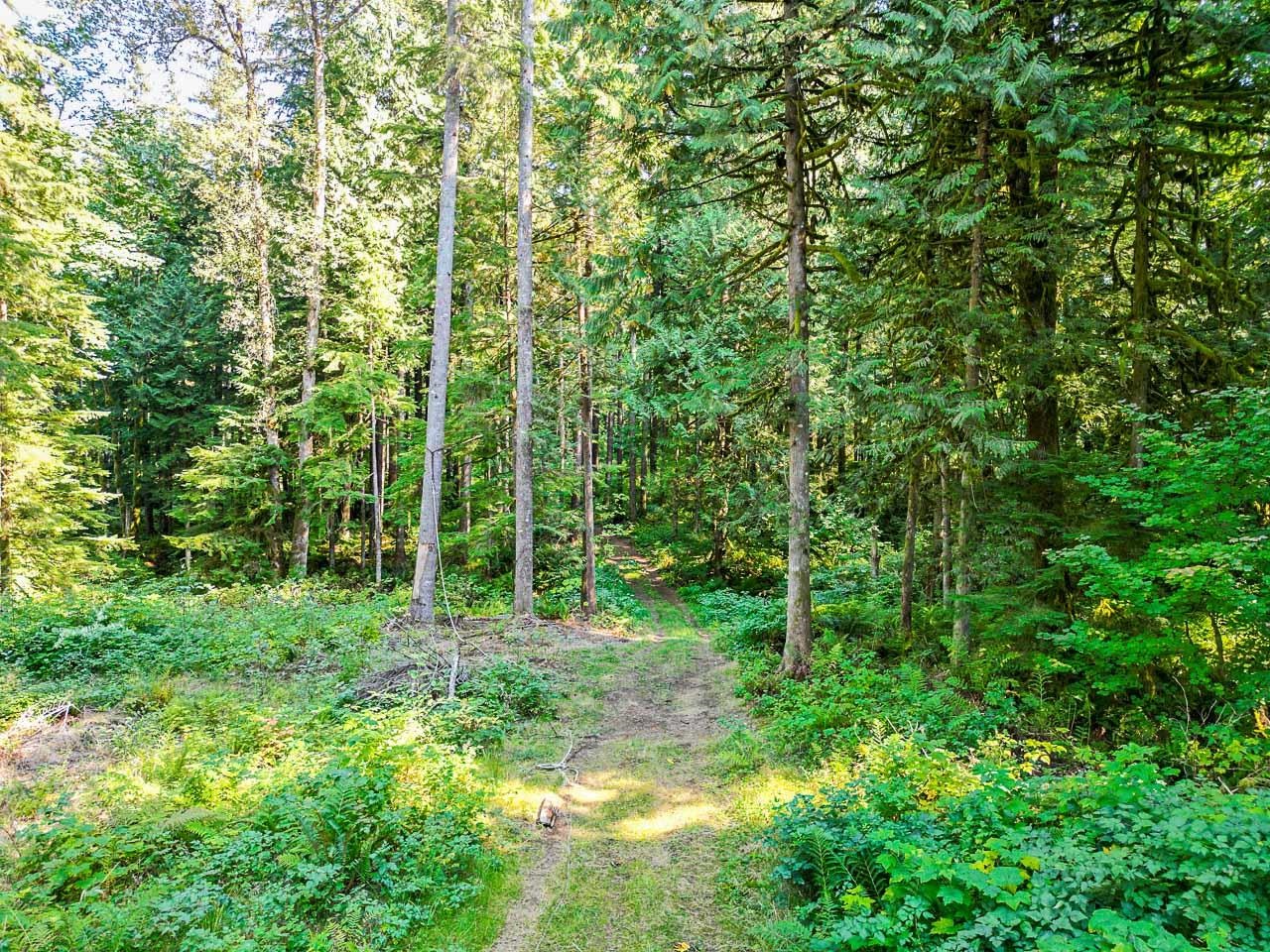 13916 Stave Lake Road, Mission, BC, V2V 0A5 - 36