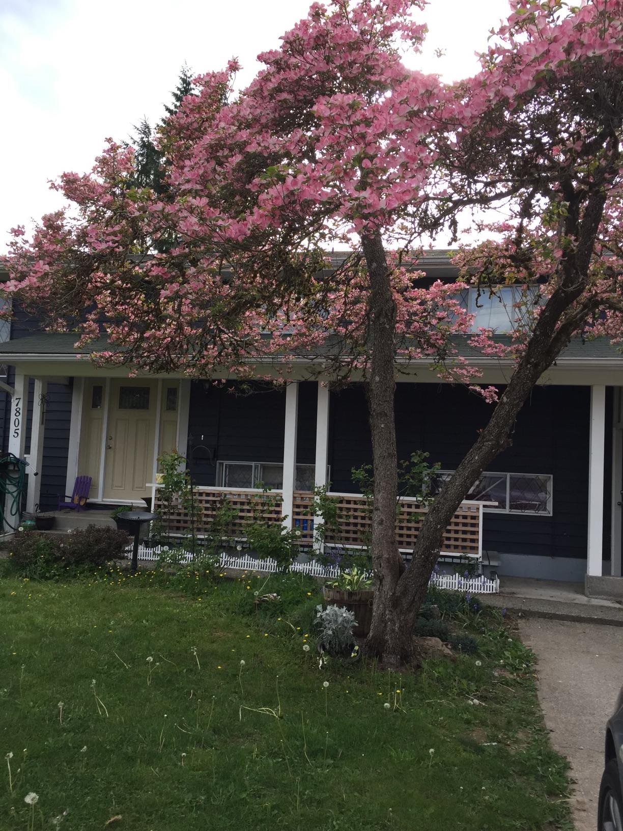 7805 Falcon Crescent, Mission, BC, V2V 3A8