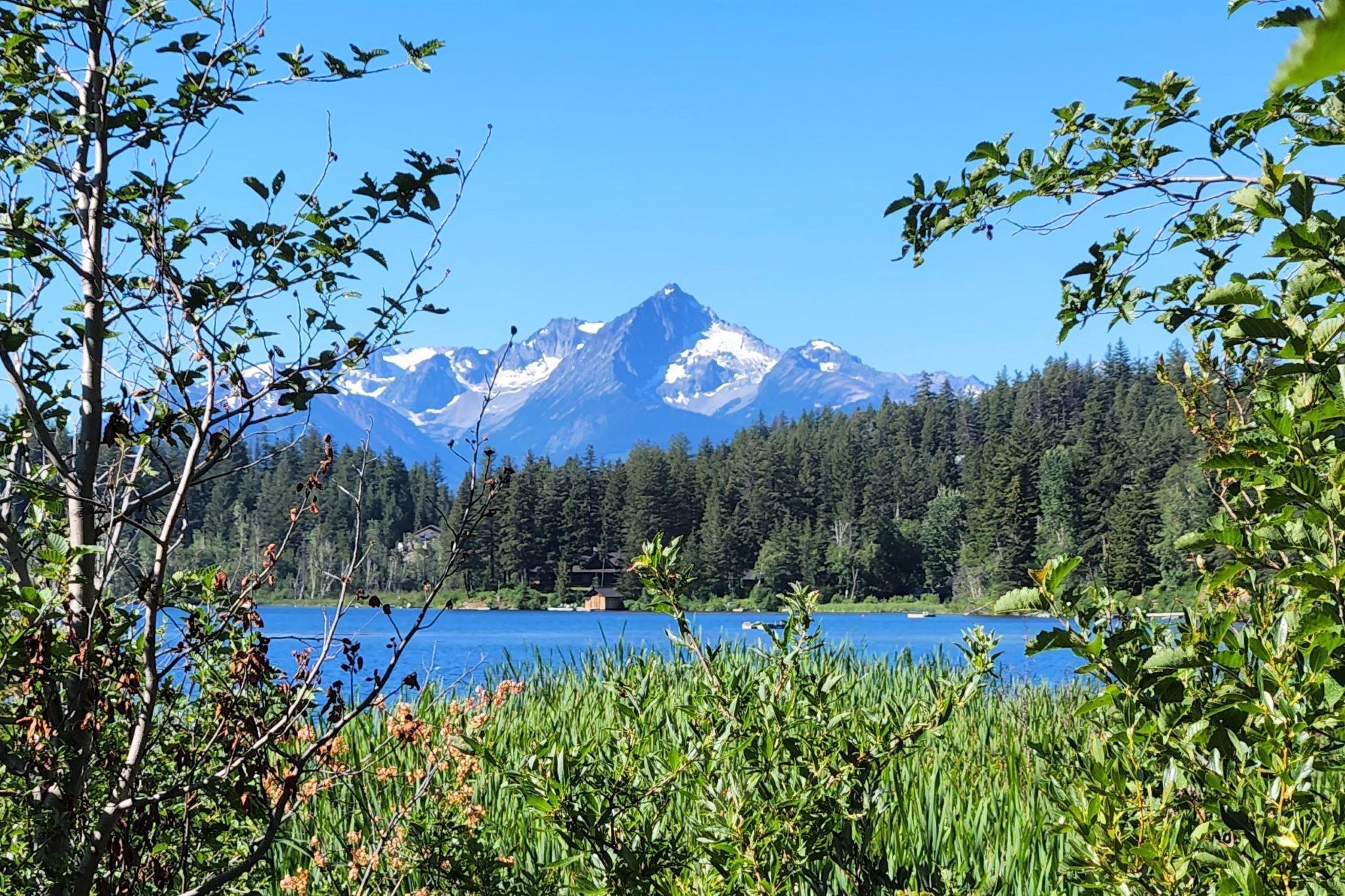 6264 Tyaughton Lake Road, Pemberton, BC, V0K 1P0 - 12