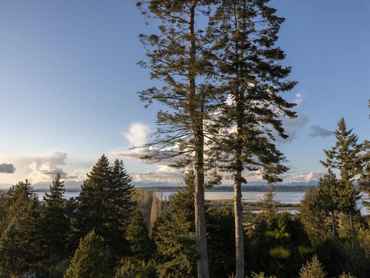 2729 Crescent Drive, Denman Island, BC, V4A 3J9 - 39