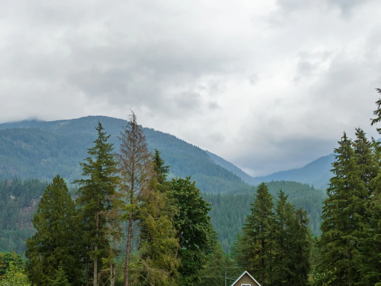 26501 Reynolds Road, Hope, BC, V0X 1L3 - 14