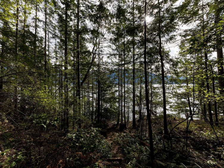 1591 Eagle Cliff Road, Bowen Island, BC, V0N 1G1 - 19
