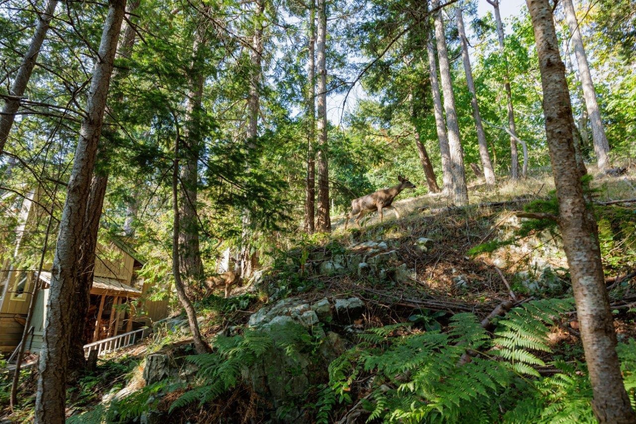 1591 Eagle Cliff Road, Bowen Island, BC, V0N 1G1 - 21