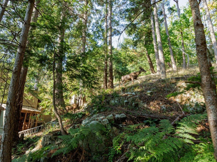1591 Eagle Cliff Road, Bowen Island, BC, V0N 1G1 - 21