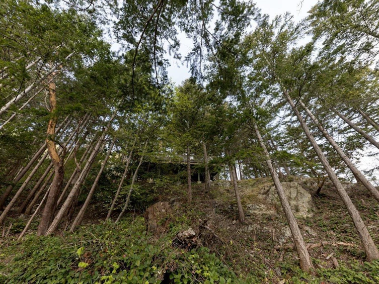 1591 Eagle Cliff Road, Bowen Island, BC, V0N 1G1 - 31