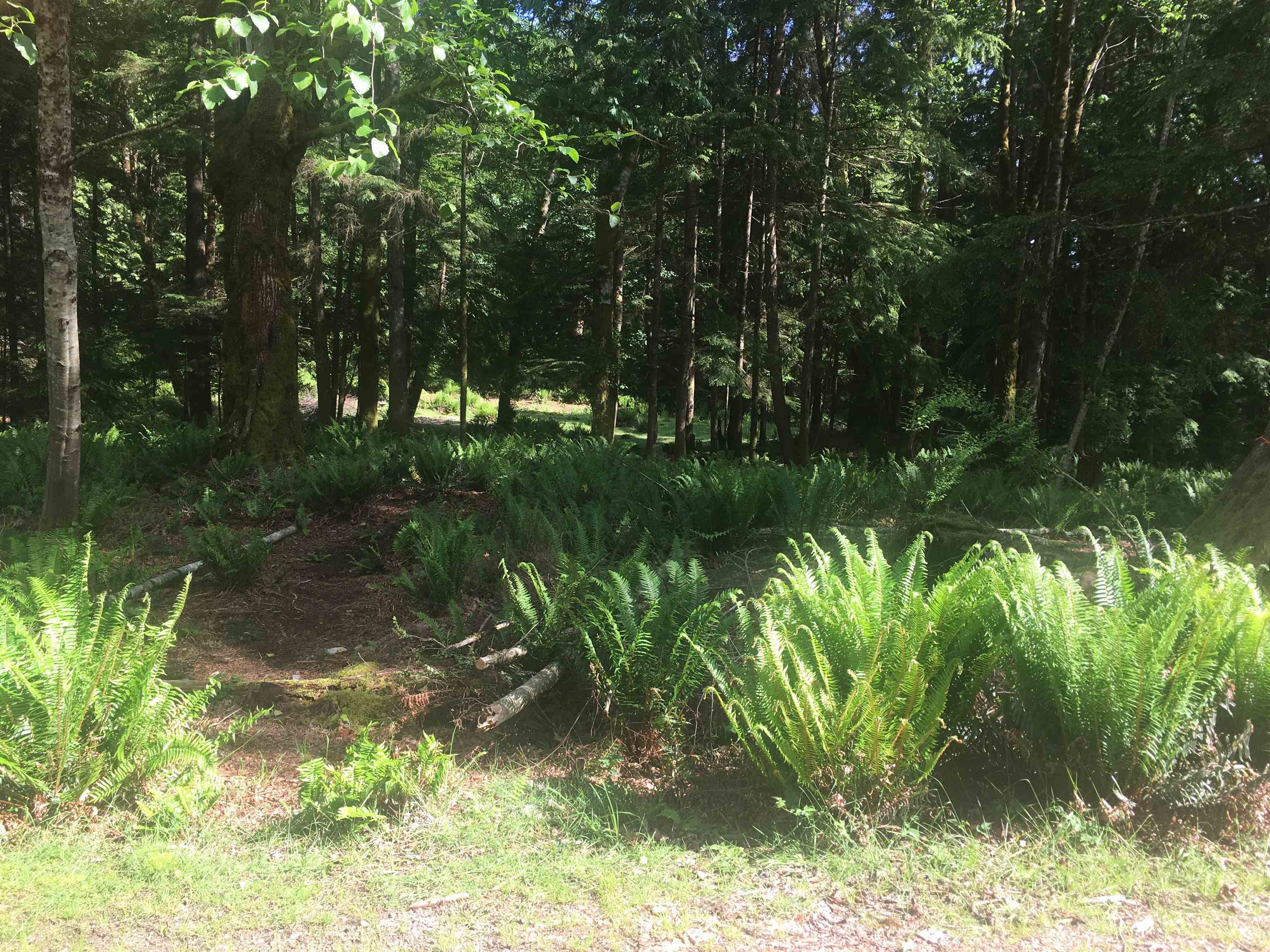 Lot 8 Mountain Road, Gambier Island, BC, V0N 1V0 - 2