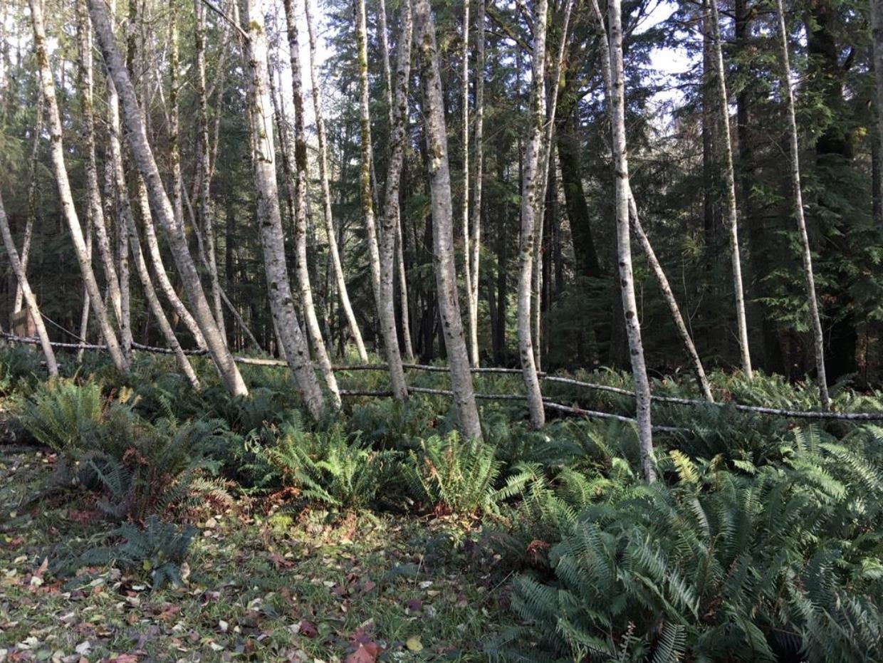 Lot 8 Mountain Road, Gambier Island, BC, V0N 1V0 - 4