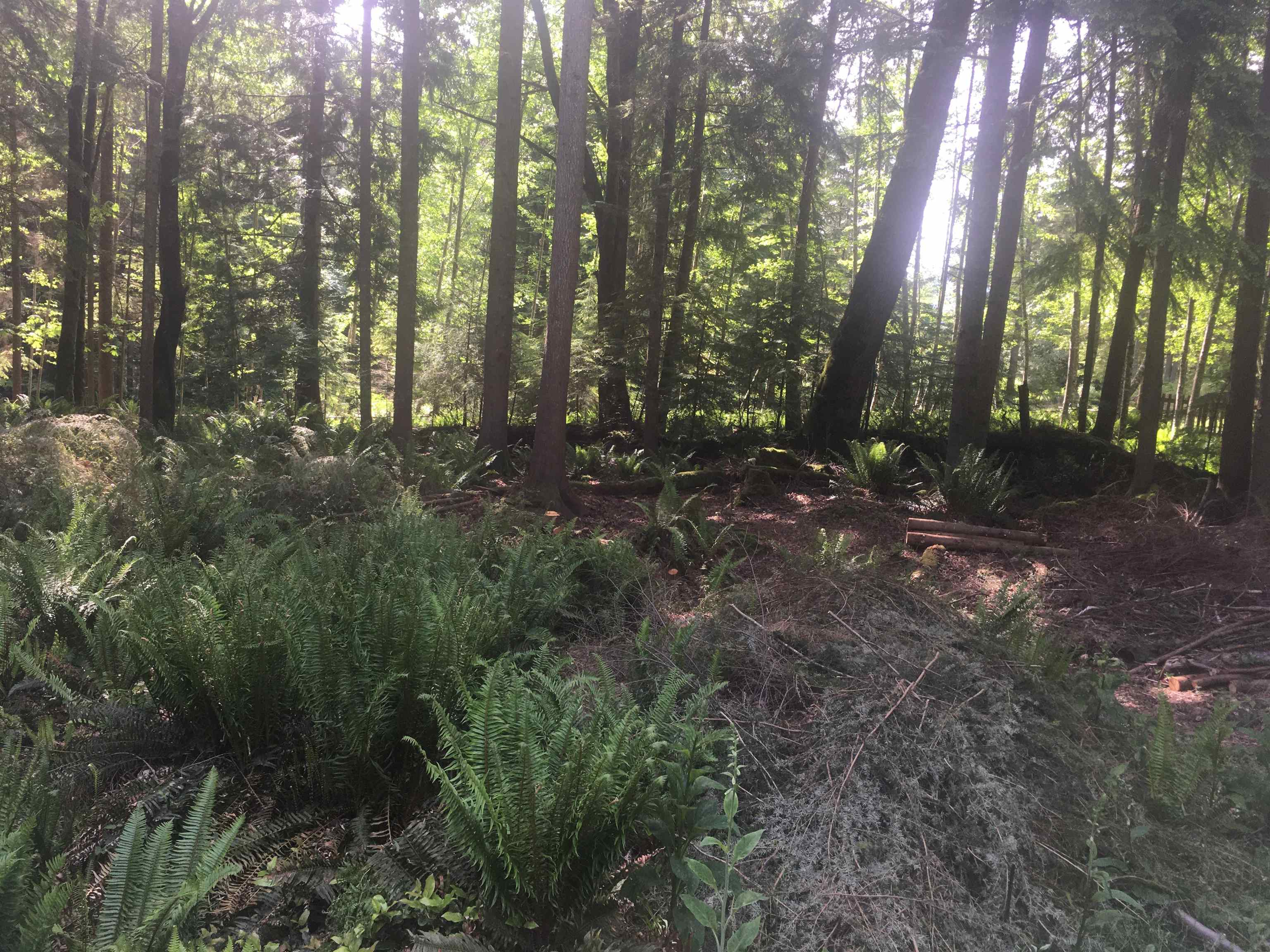 Lot 8 Mountain Road, Gambier Island, BC, V0N 1V0 - 12