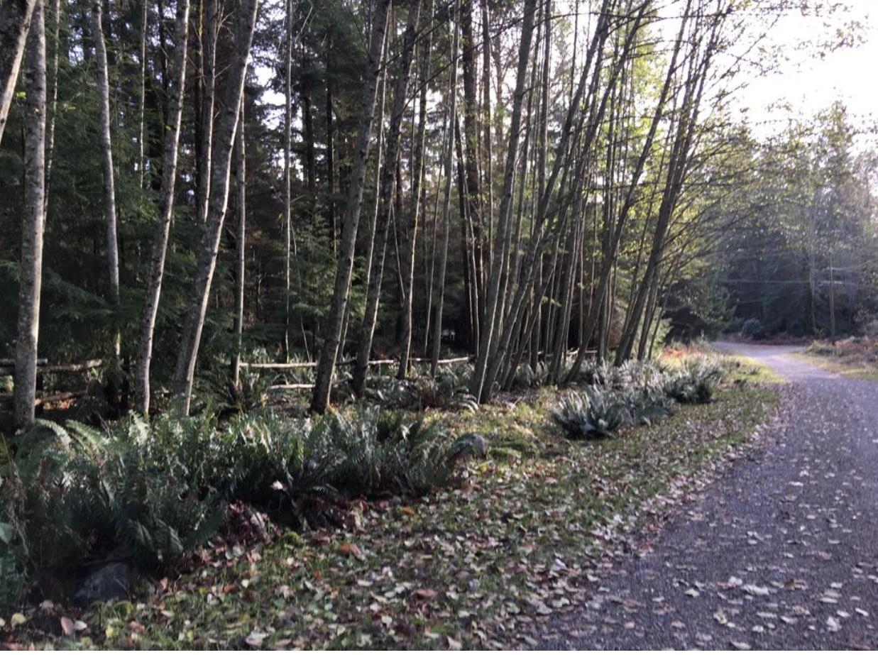 Lot 8 Mountain Road, Gambier Island, BC, V0N 1V0 - 13