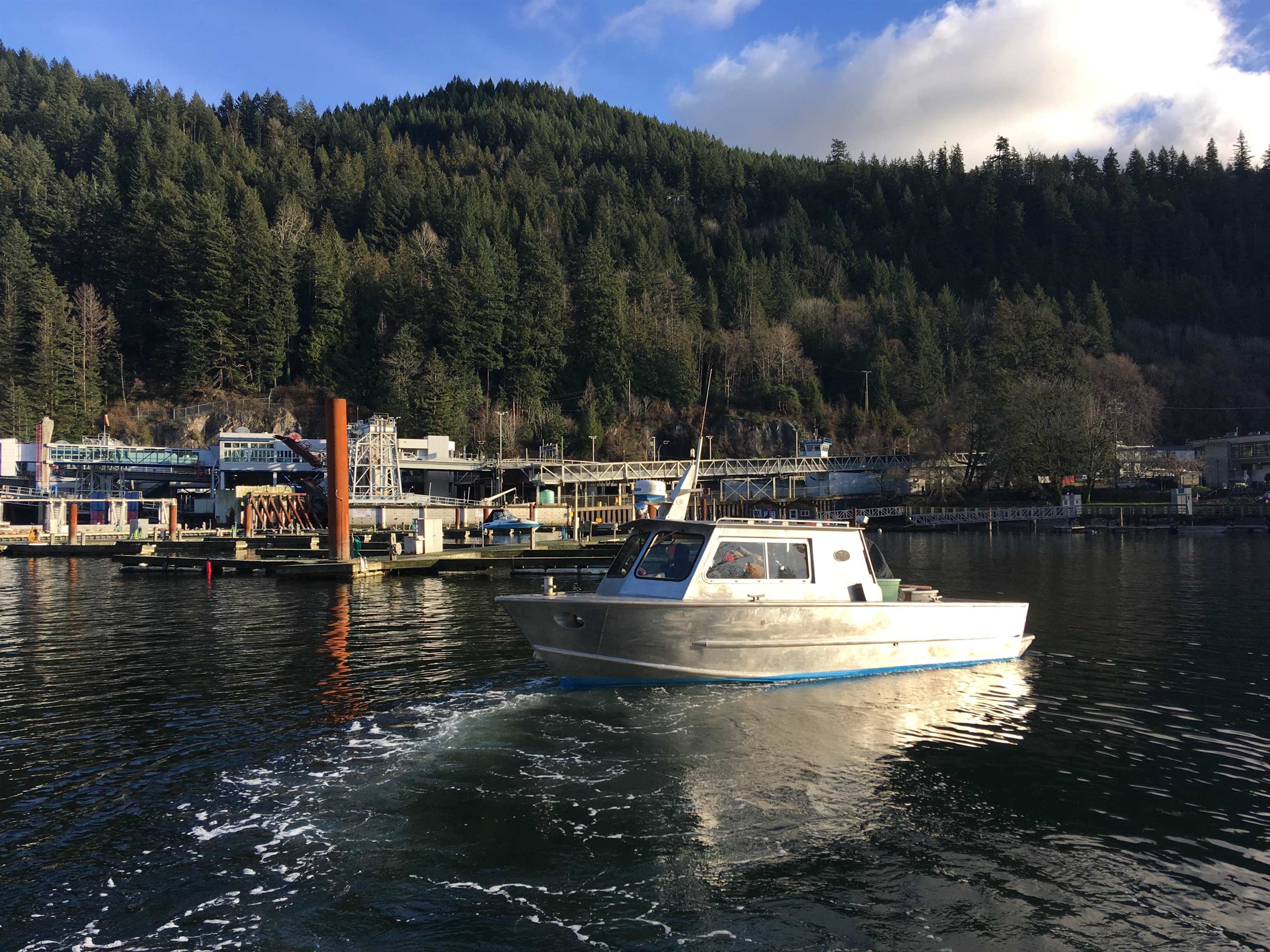 Lot 8 Mountain Road, Gambier Island, BC, V0N 1V0 - 14