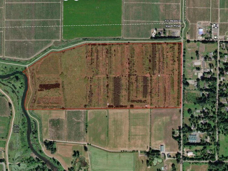 13213 216 Street, Maple Ridge, BC, V4R 2S8