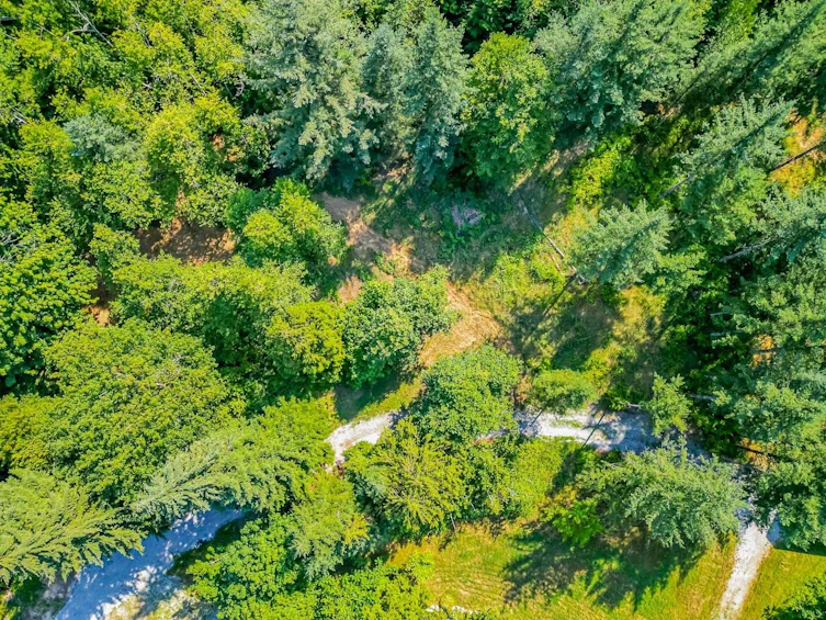 11890 Sylvester Road, Mission, BC, V4J 1V2 - 4