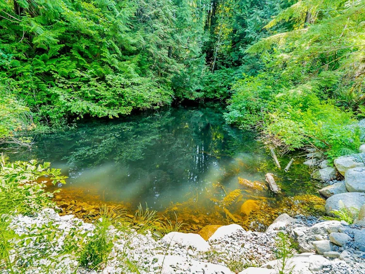 11890 Sylvester Road, Mission, BC, V4J 1V2 - 12