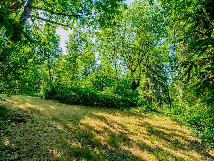 11890 Sylvester Road, Mission, BC, V4J 1V2 - 28