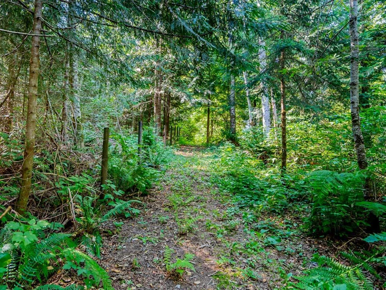 11890 Sylvester Road, Mission, BC, V4J 1V2 - 31