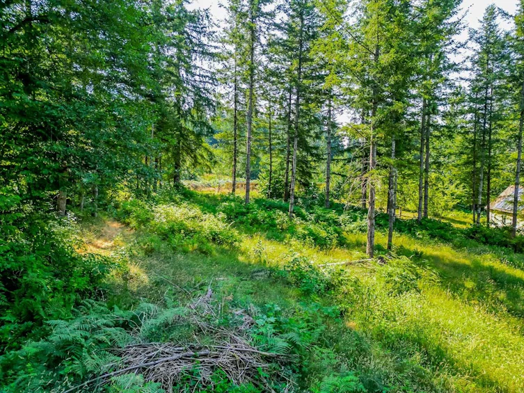 11890 Sylvester Road, Mission, BC, V4J 1V2 - 33