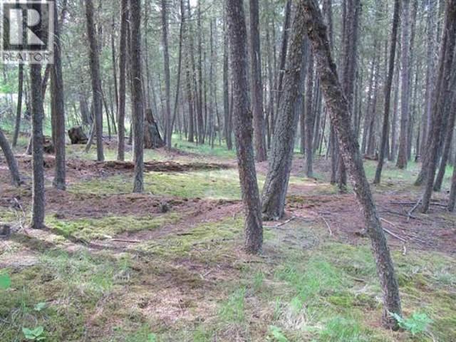 A 913-LOT 2 Block Drive, 108 Mile Ranch, BC, V0K 2Z0