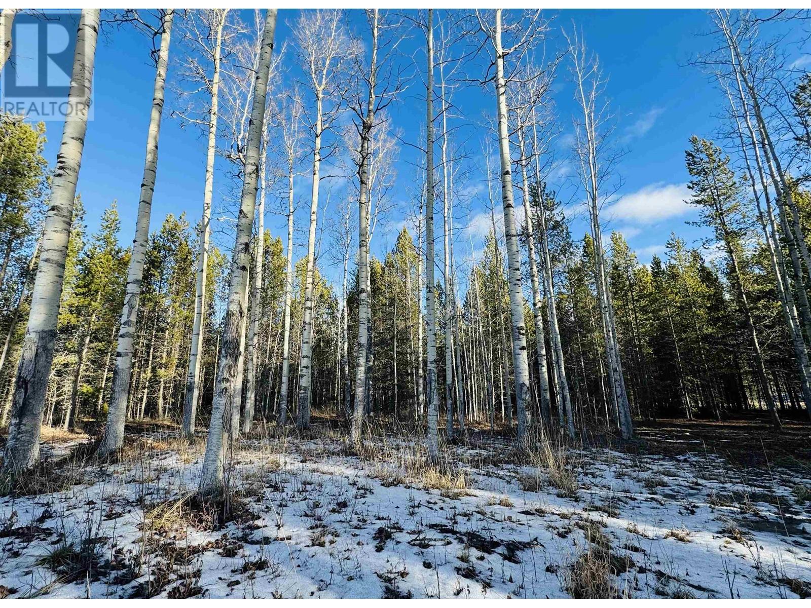 For Sale 1170 Fowler Place, Valemount, BC REW