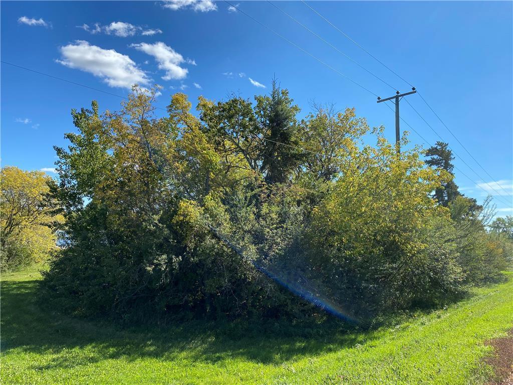 311 Pth 42 & The Drive Street, Shoal Lake, MB, Land/Lot For Sale REW