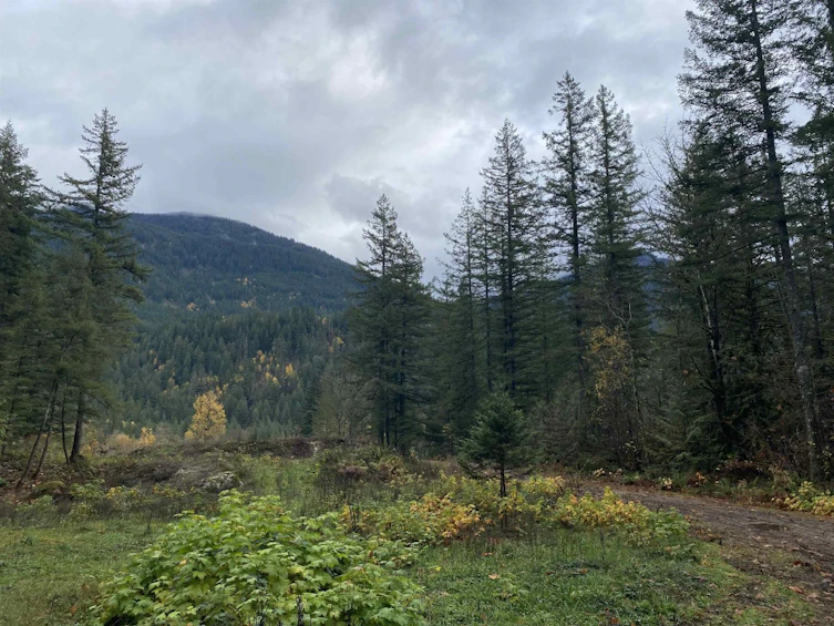 26813 Dogwood Valley Road, Hope, BC, V0X 1L3