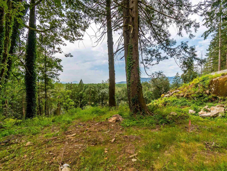 56099 Trans Canada Highway, Hope, BC, V0X 1L2