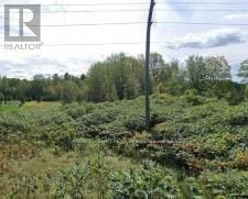 N/A Trent River Road, Trent Hills, ON, K0L 1L0