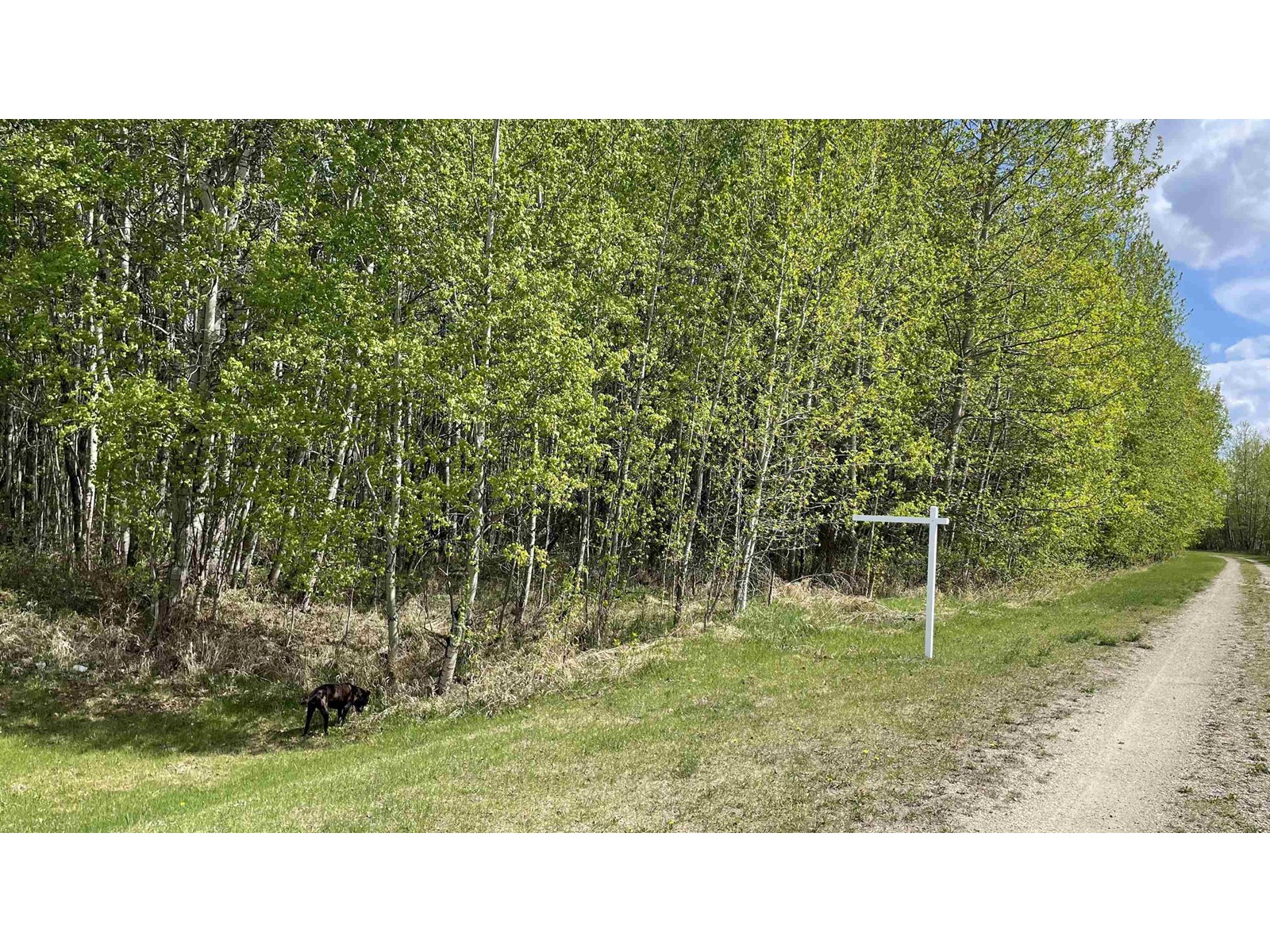 270-16 52215 Rge Road, Rural Parkland County, AB, T7X 3L6
