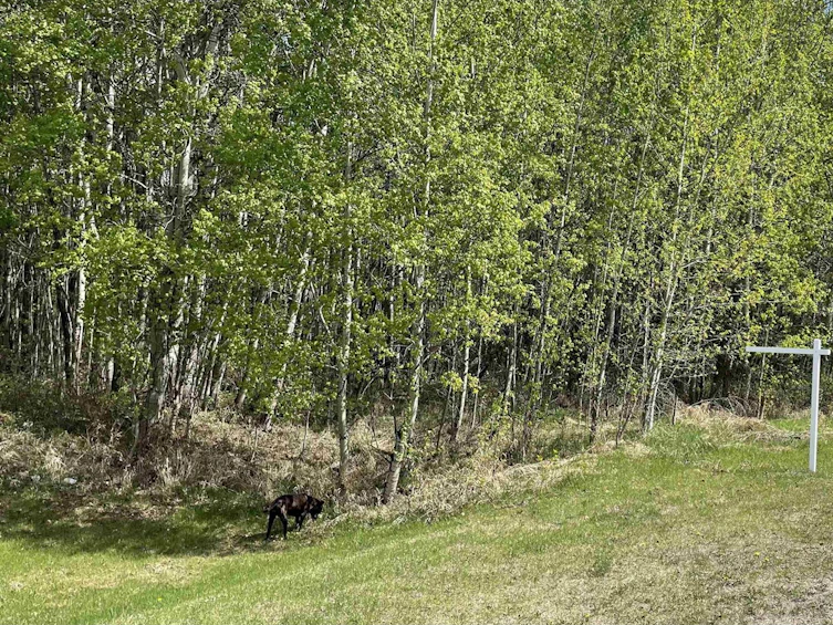 270-16 52215 Rge Road, Rural Parkland County, AB, T7X 3L6