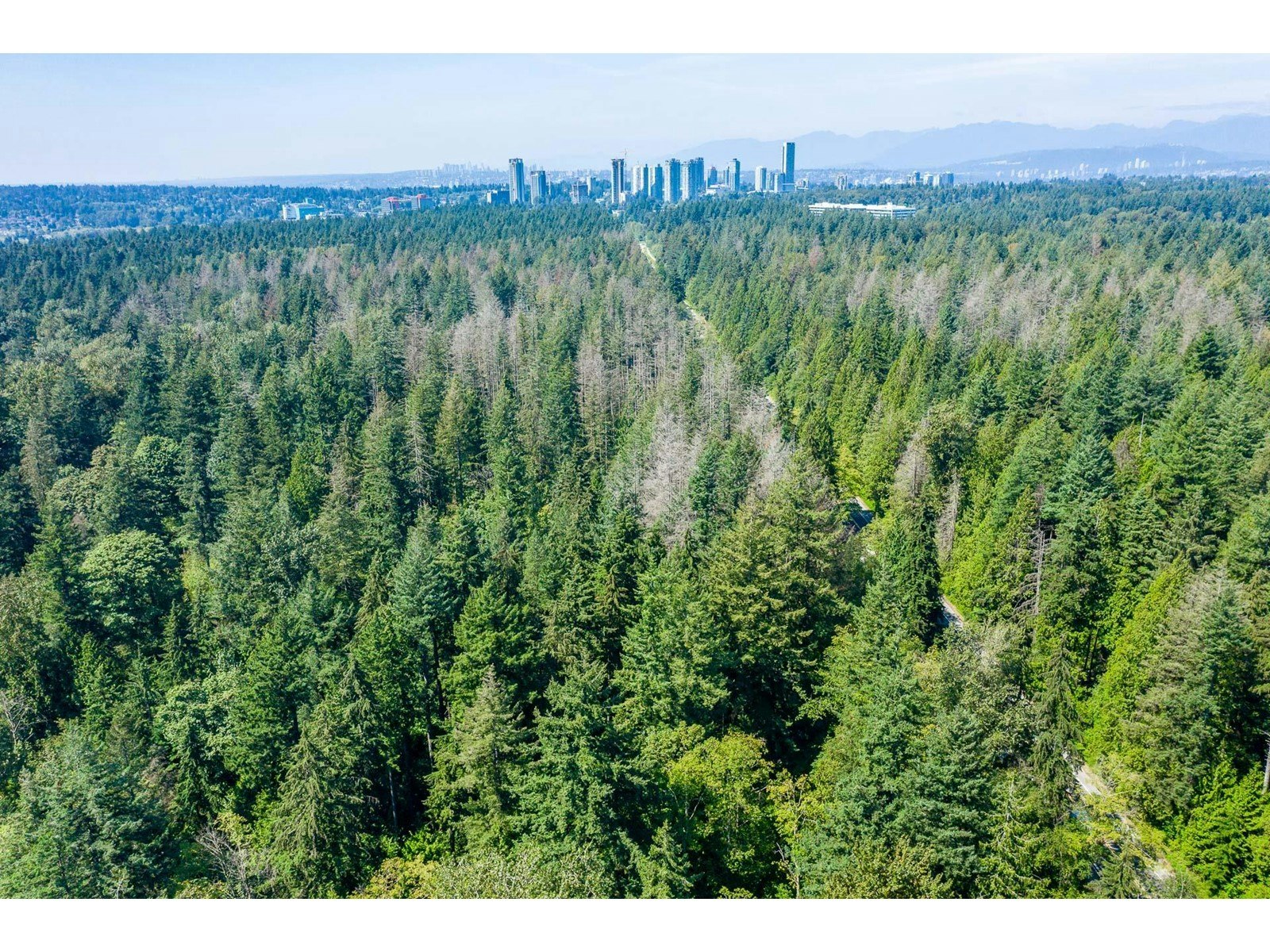 14938 92, Surrey, BC, V3R 1C1 - 9