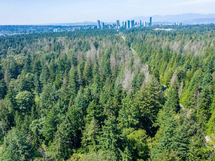 14938 92, Surrey, BC, V3R 1C1 - 9