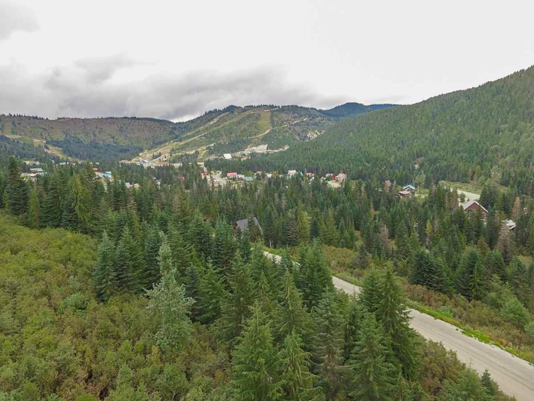 20518 Edelweiss Drive, Mission, BC, V0M 1A1