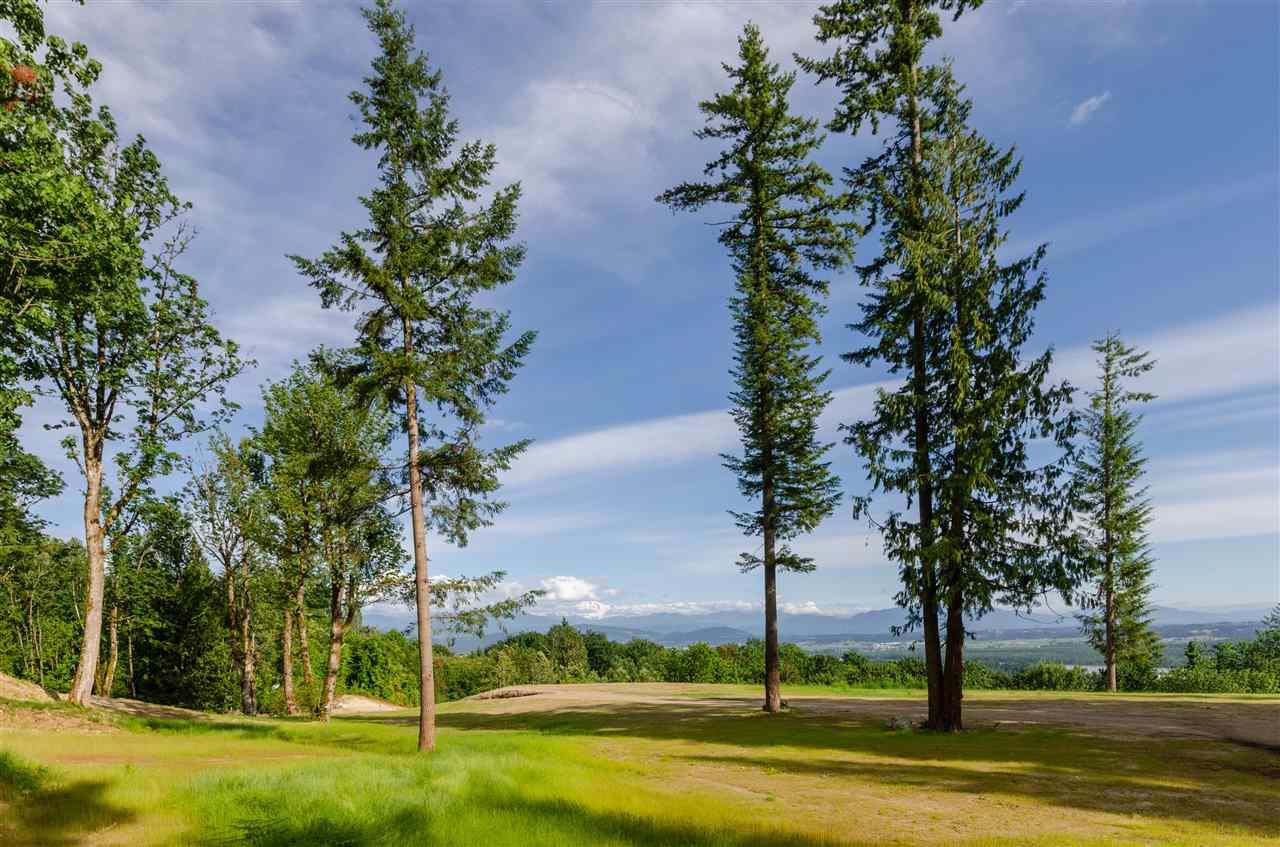 31390 Olson Avenue, Mission, BC, V4S 1E8