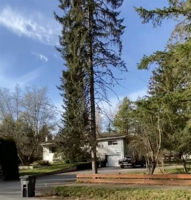 17641 20 Avenue, Surrey, BC, V3Z 9V2
