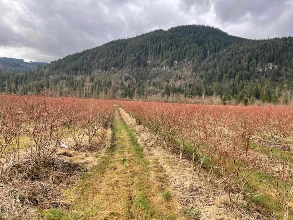 11383 Farms Road, Mission, BC, V2V 4J1