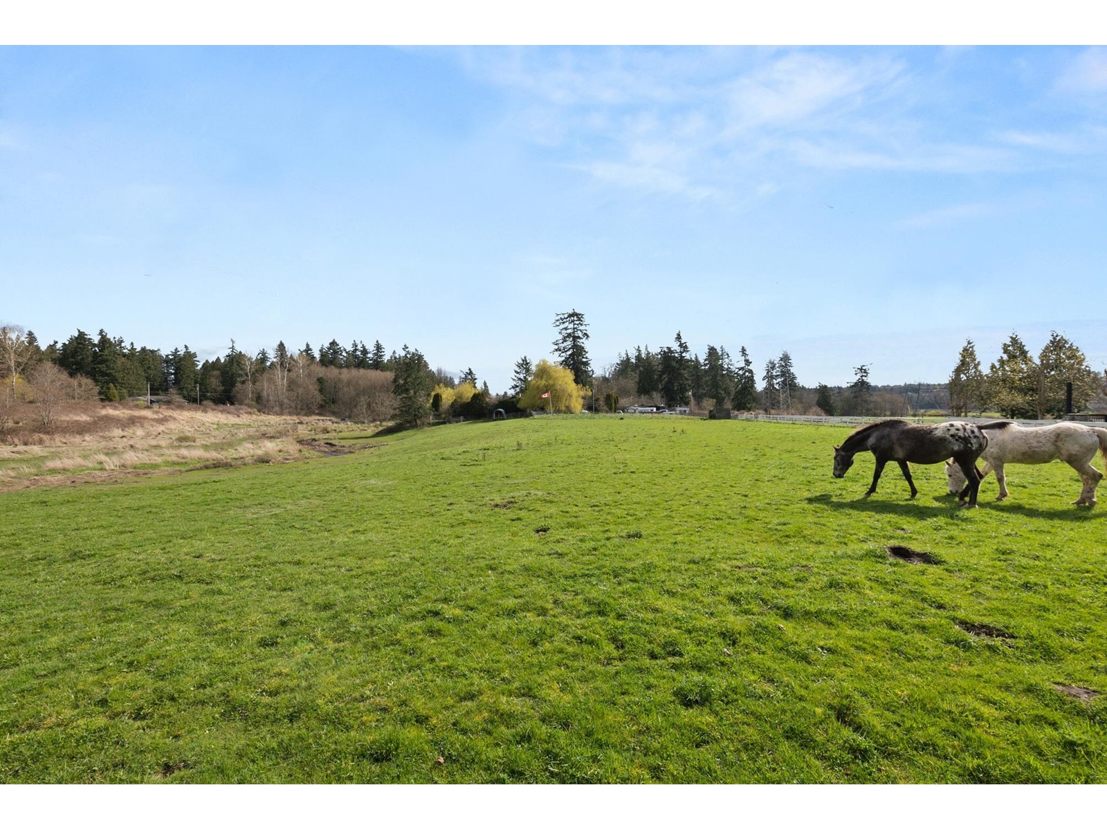 514 176 Street, Surrey, BC, V3Z 9S6