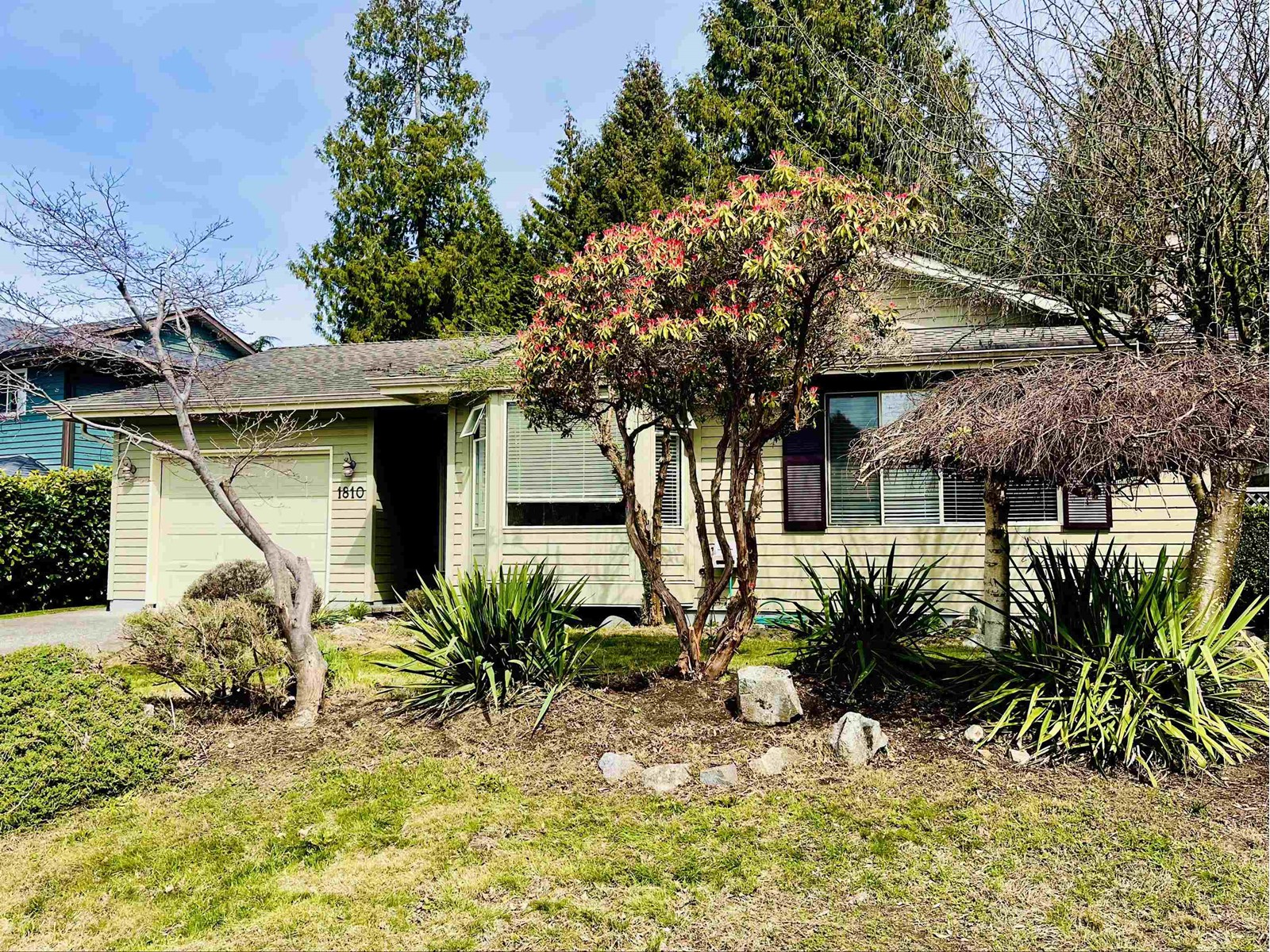 1810 142 Street, Surrey, BC, V4A 6G7