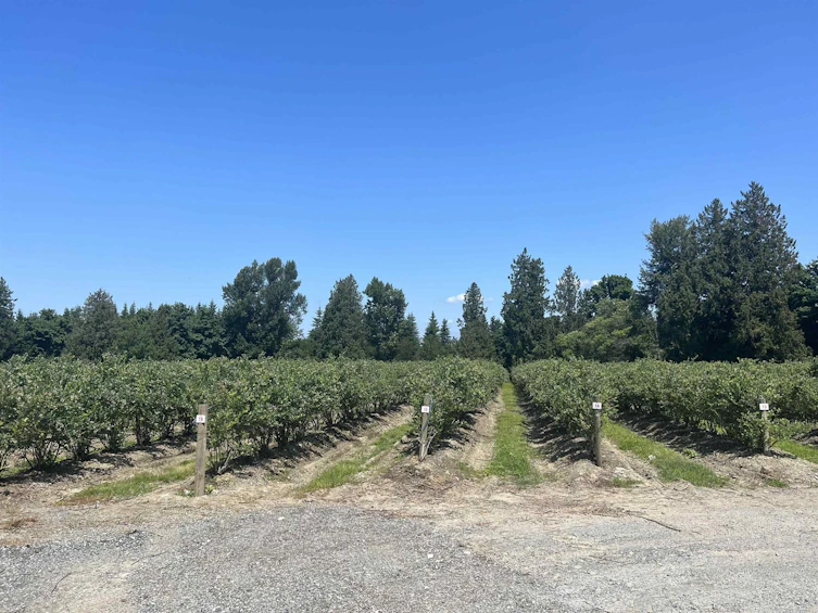 4281 Bradner Road, Abbotsford, BC, V4X 1S9