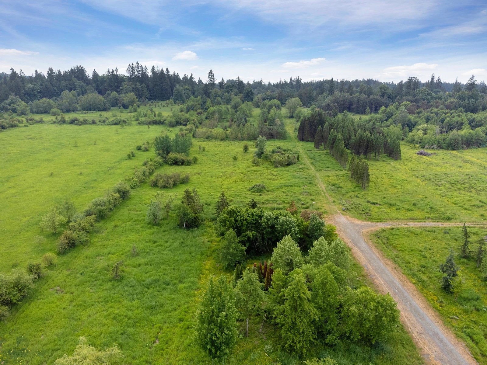 21326 48 Avenue, Langley, BC, V3A 3M5 - 3