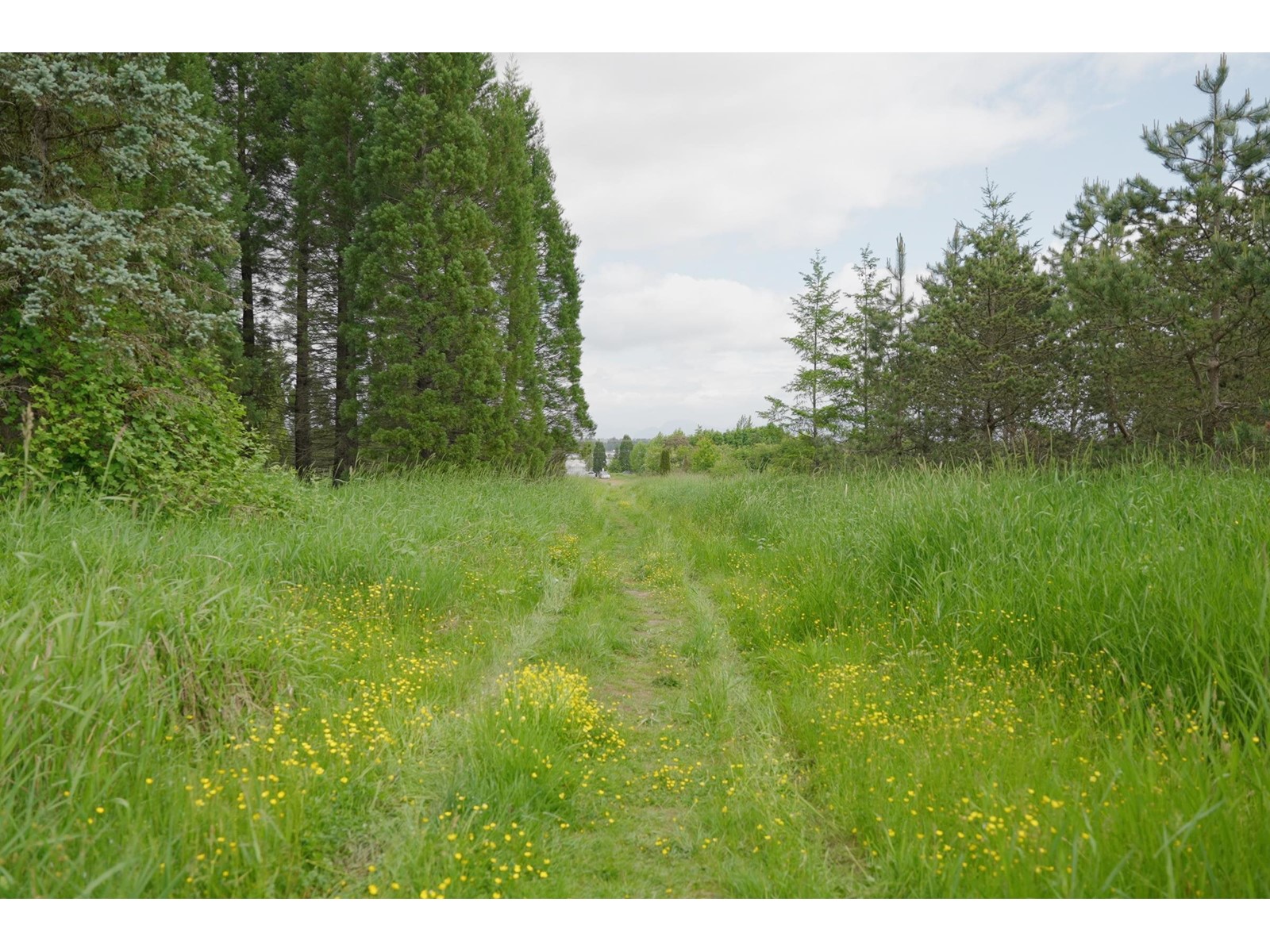 21326 48 Avenue, Langley, BC, V3A 3M5 - 6