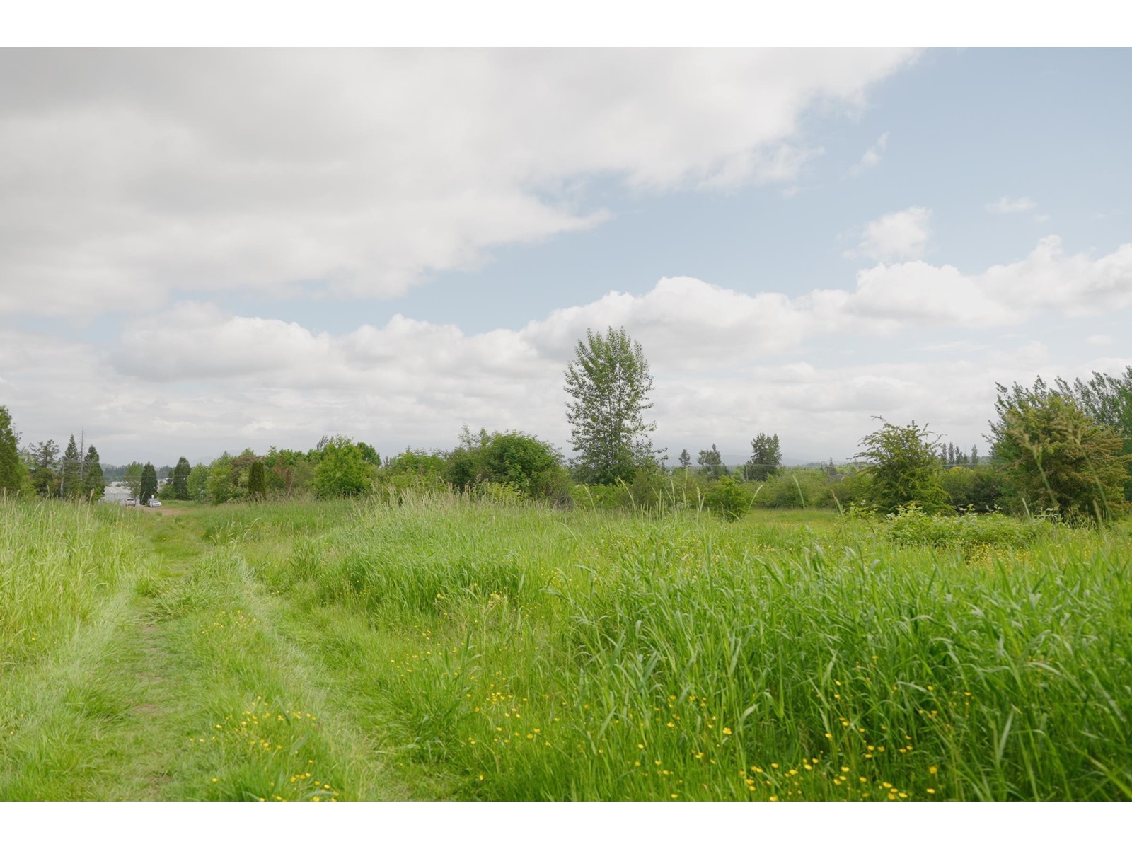 21326 48 Avenue, Langley, BC, V3A 3M5 - 7