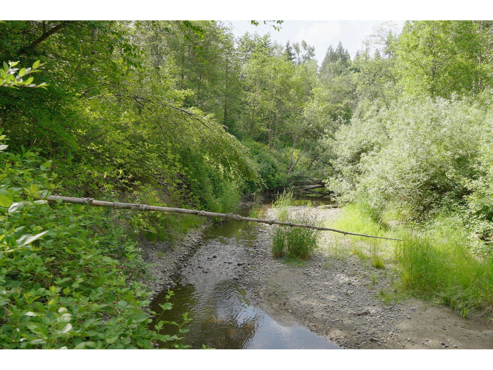 21326 48 Avenue, Langley, BC, V3A 3M5 - 8