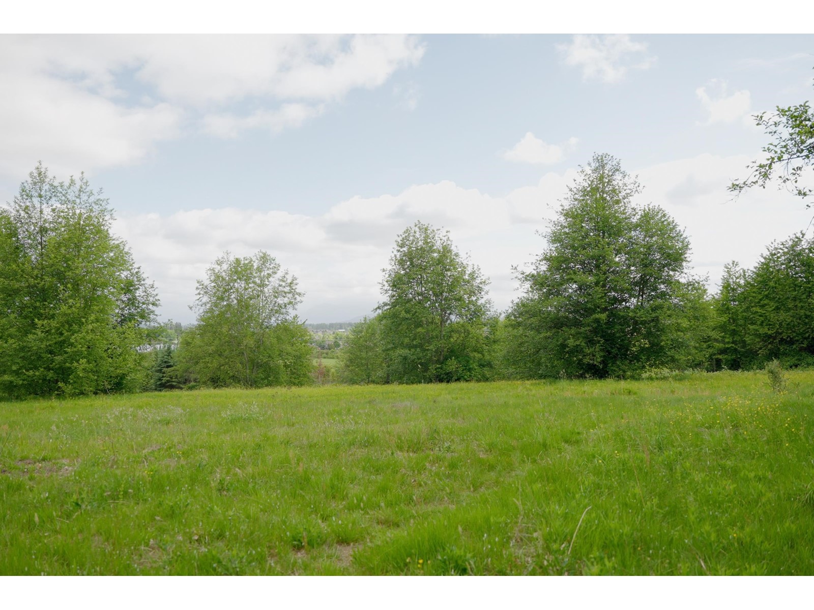 21326 48 Avenue, Langley, BC, V3A 3M5 - 28