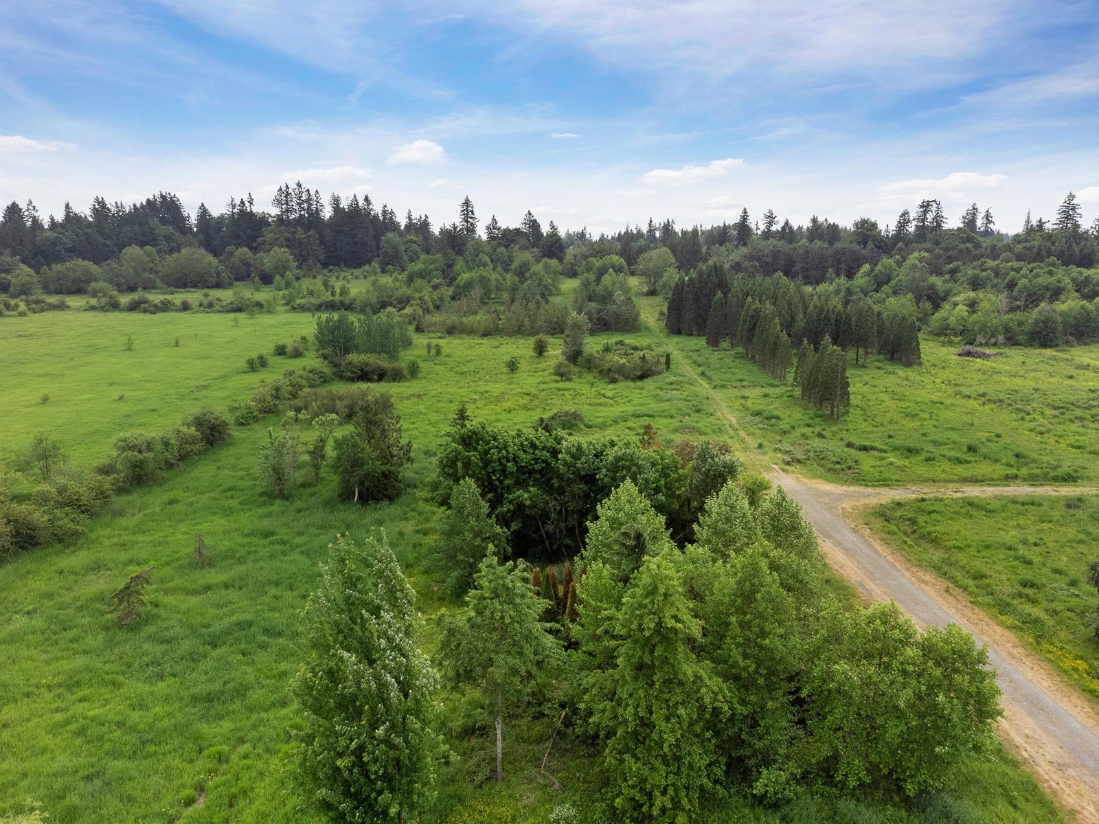 21326 48 Avenue, Langley, BC, V3A 3M5 - 30