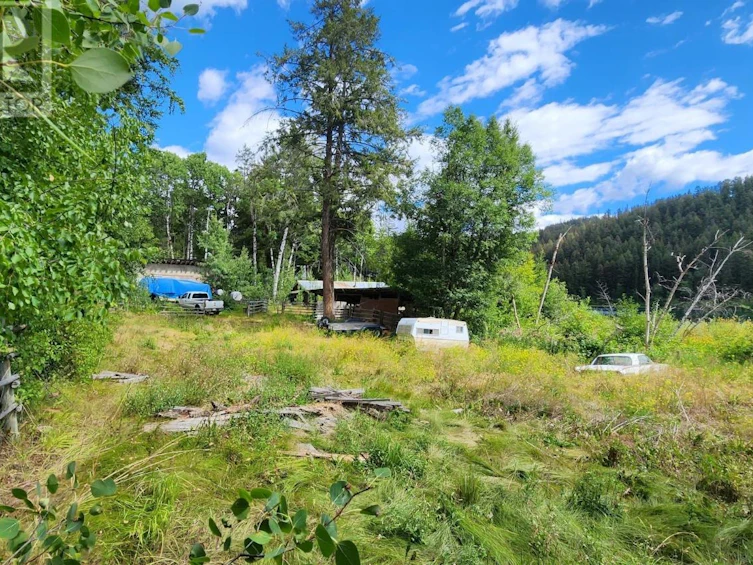 6264 Tyaughton Lake Road, Pemberton, BC, V0K 1P0 - 5