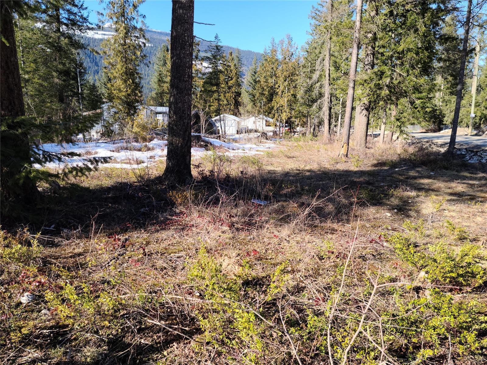 Lot 9 Malakwa Road, Malakwa, BC, V0E 2J0