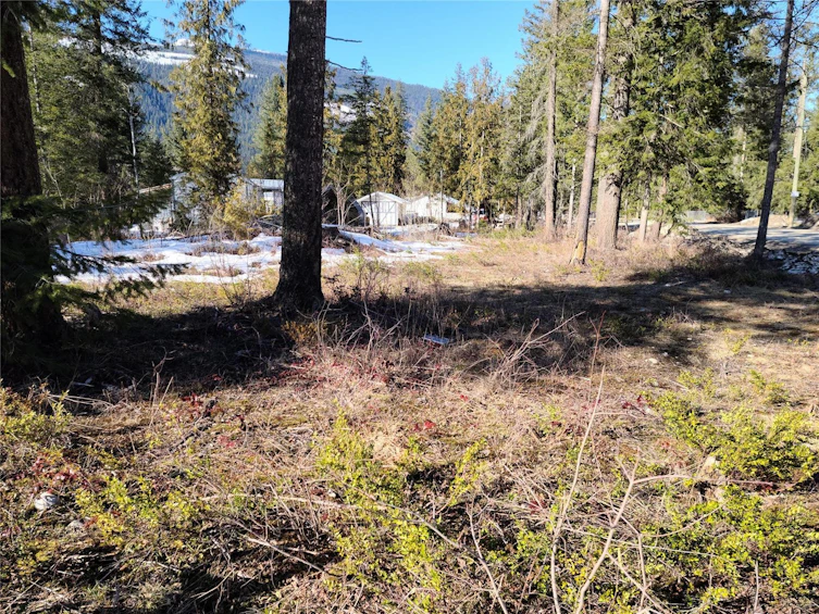 Lot 9 Malakwa Road, Malakwa, BC, V0E 2J0
