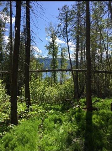 Lot-Lot 62 Golden Spur Trail, Anglemont, BC, V0E 1A0