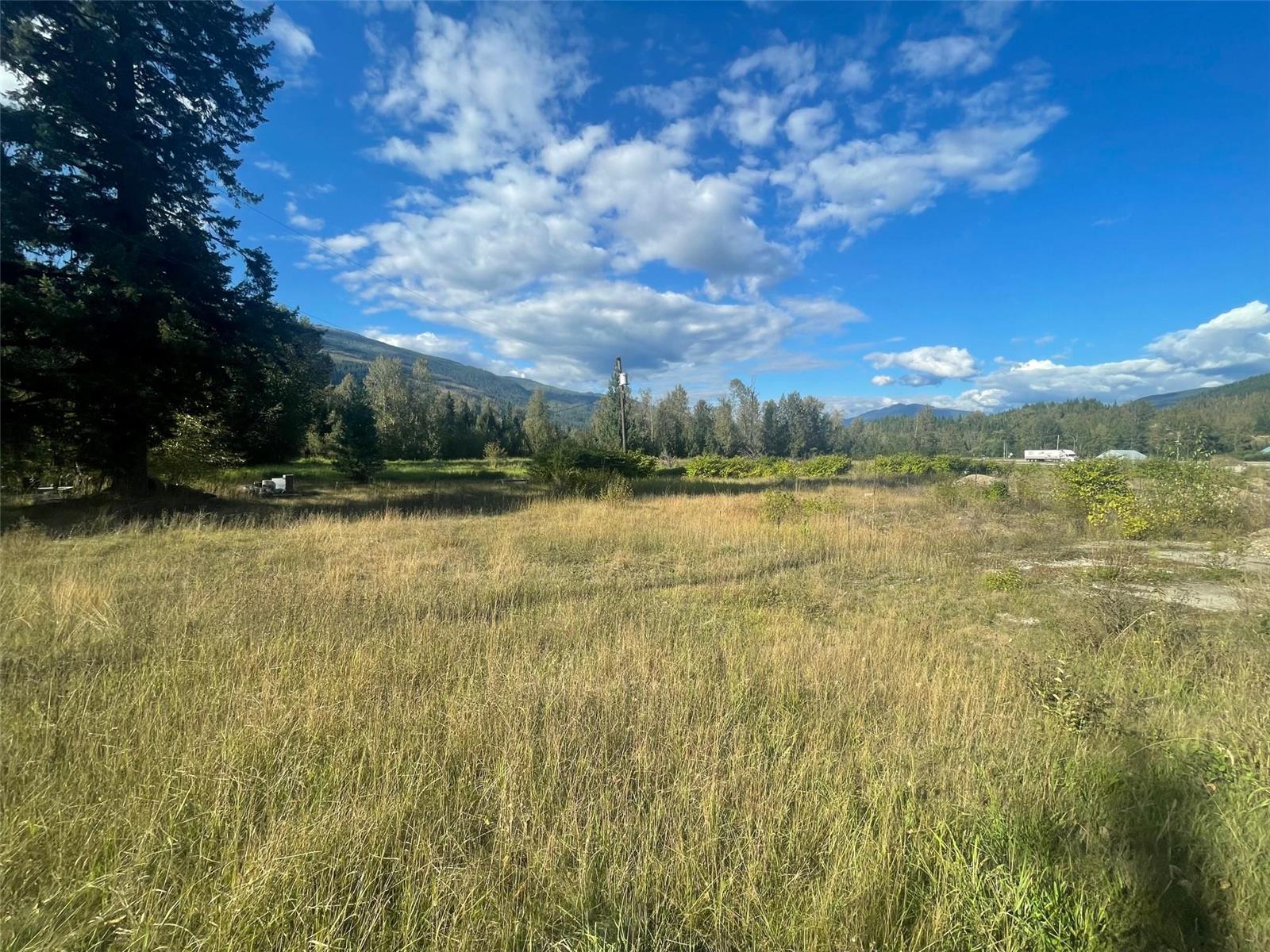 3785 Malakwa Road, Malakwa, BC, Land/Lot For Sale REW
