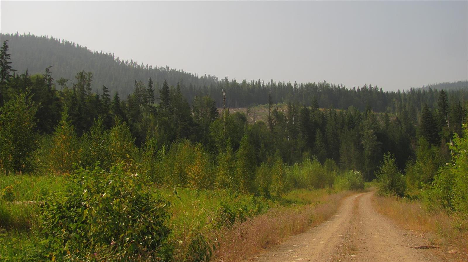 For Sale 130 Acres Sugar Lake Sihlis Fsr Road, Cherryville, BC REW