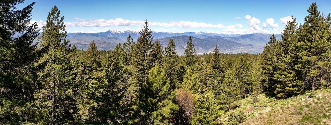 LOT 4 Whitetail Place, Osoyoos, BC, V0H 1V6